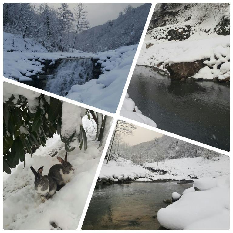 Asina Motel ซาพานจา ภายนอก รูปภาพ